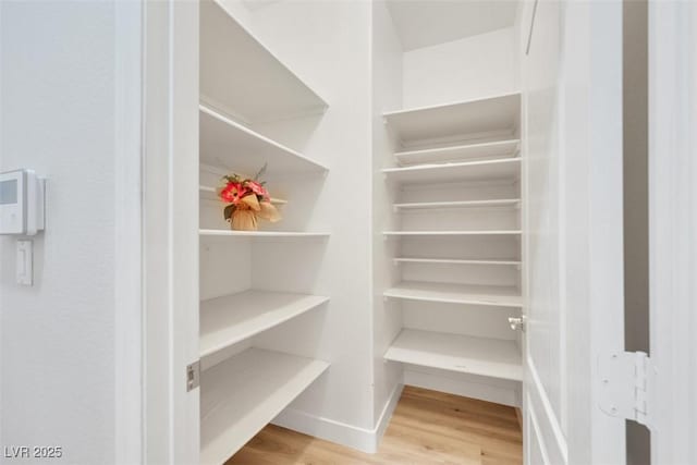 1078 Broomfield Dr, Henderson, NV 89074 - view of storage area