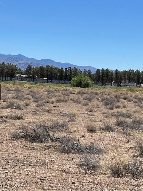 831 S Ford Loop, Pahrump, NV 89048 - photo 6