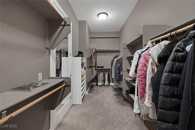 3668 Hillary Elan Ct, Las Vegas, NV 89139 - walk in closet with carpet floors