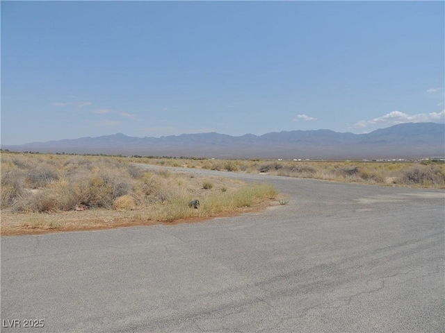 60 E Bonita Ave, Pahrump, NV 89060 - photo 5