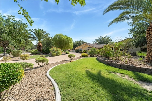 7154 Ranchito Cir, Las Vegas, NV 89120 - view of community featuring a yard