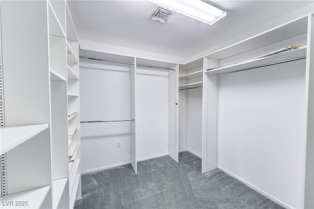 2780 Montessouri St, Las Vegas, NV 89117 - spacious closet featuring carpet