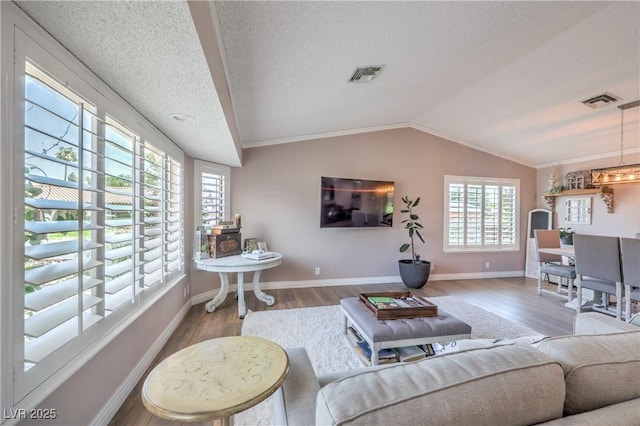 1605 Siboney Dr, Las Vegas, NV 89123 - living room featuring wood finished floors, lofted ceiling, and a textured ceiling