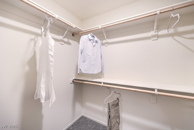 4948 Fern Mesa Ave Lot 130, Las Vegas, NV 89139 - view of walk in closet