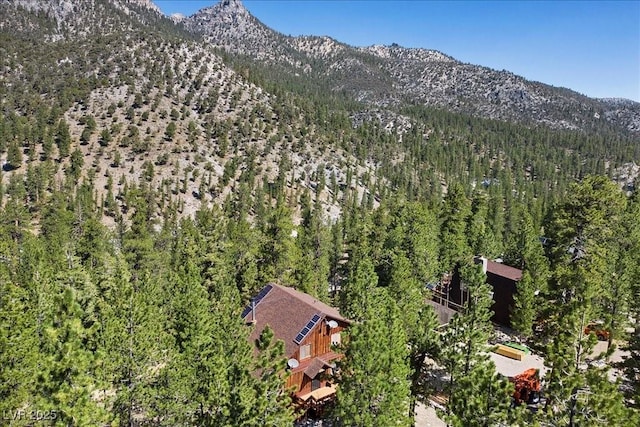 2169 Via Spes Nostra St, Mount Charleston, NV 89124 - view of mountain backdrop featuring a forest