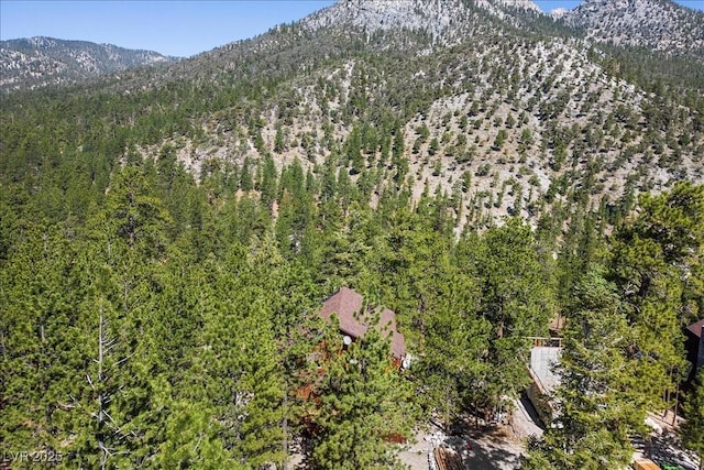 2169 Via Spes Nostra St, Mount Charleston, NV 89124 - bird's eye view of a mountain backdrop