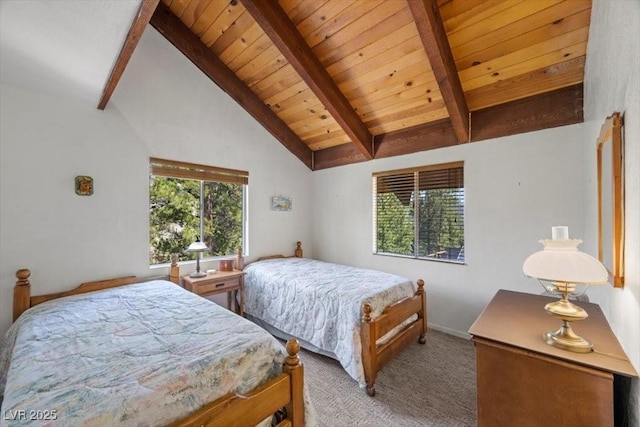 2169 Via Spes Nostra St, Mount Charleston, NV 89124 - bedroom featuring light carpet, a wooden ceiling with exposed beams, and high vaulted ceiling