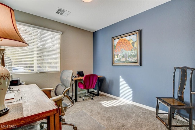 12355 Grey Dunes Ave, Las Vegas, NV 89138 - photo 25