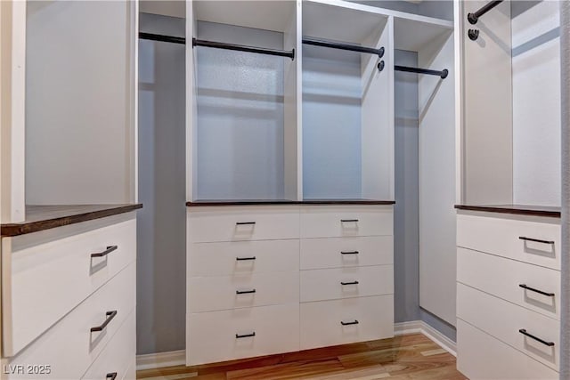 4441 Glossier Ave, North Las Vegas, NV 89084 - spacious closet with light wood-style flooring