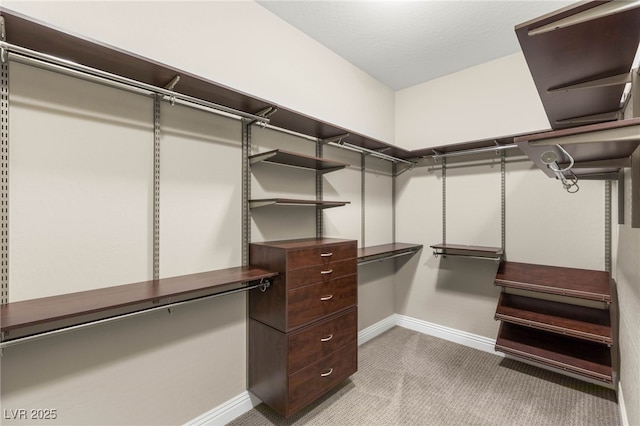 5676 Corona Vista St, Las Vegas, NV 89135 - walk in closet with carpet flooring