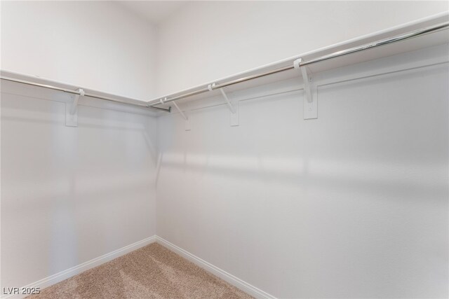 1799 Passerine St, Las Vegas, NV 89138 - photo 22