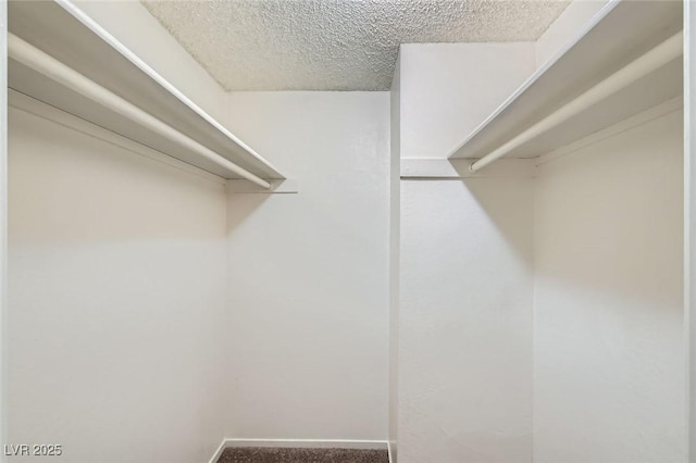 5125 Gray Ln Unit B, Las Vegas, NV 89119 - photo 10