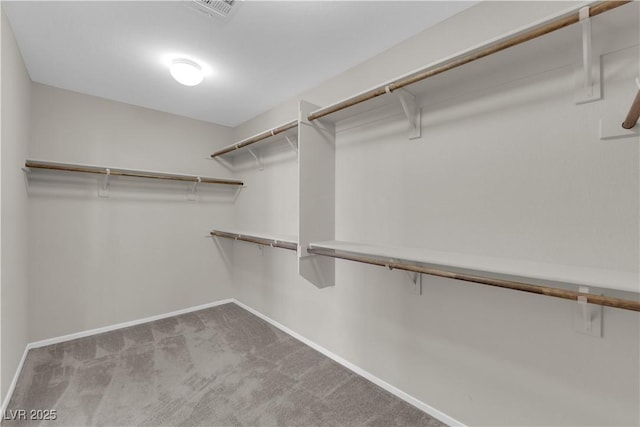 8969 Rice Peak St, Las Vegas, NV 89148 - spacious closet with carpet