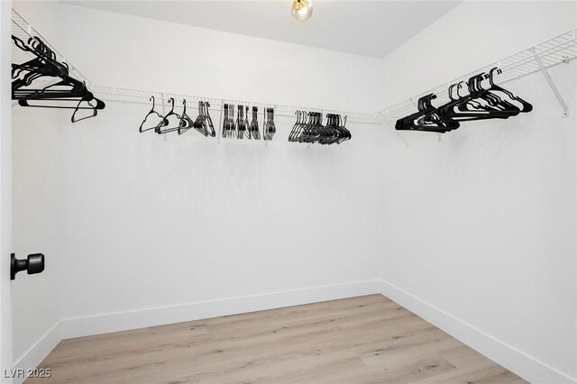 5505 Eagle Cove Ave, Las Vegas, NV 89130 - walk in closet featuring light wood-style floors