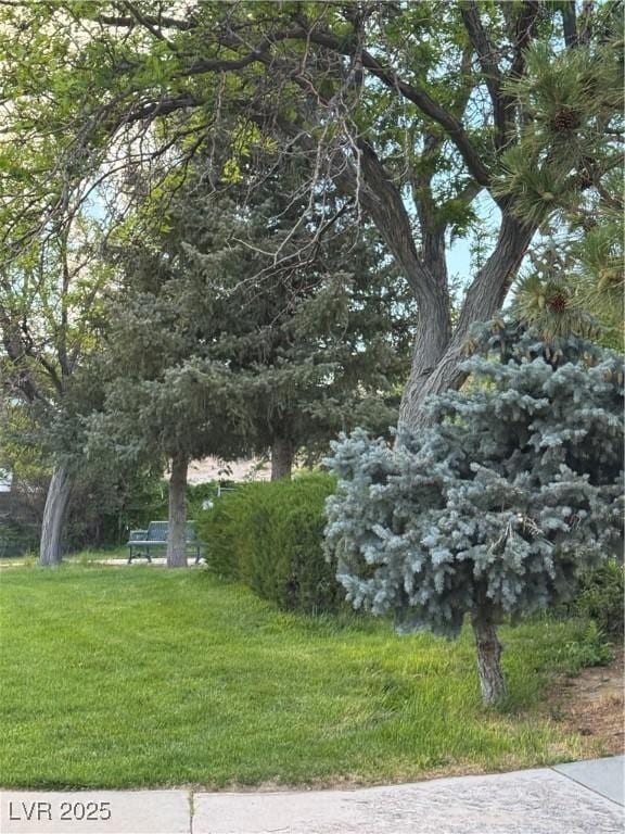 191 S Booker, Tonopah, NV 89049 - view of grassy yard
