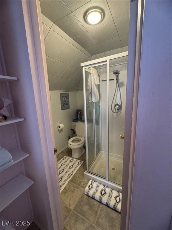 191 S Booker, Tonopah, NV 89049 - bathroom featuring vaulted ceiling and a shower stall