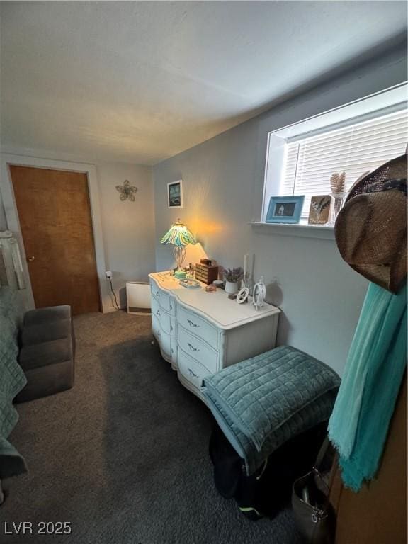 191 S Booker, Tonopah, NV 89049 - living area with dark carpet