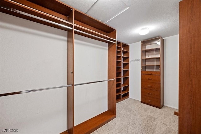 9413 Arcadia Woods Ct, Las Vegas, NV 89149 - spacious closet with carpet flooring