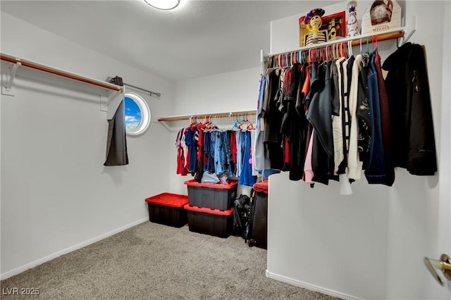 6430 Jackrabbit Run Ave, Las Vegas, NV 89122 - walk in closet featuring carpet