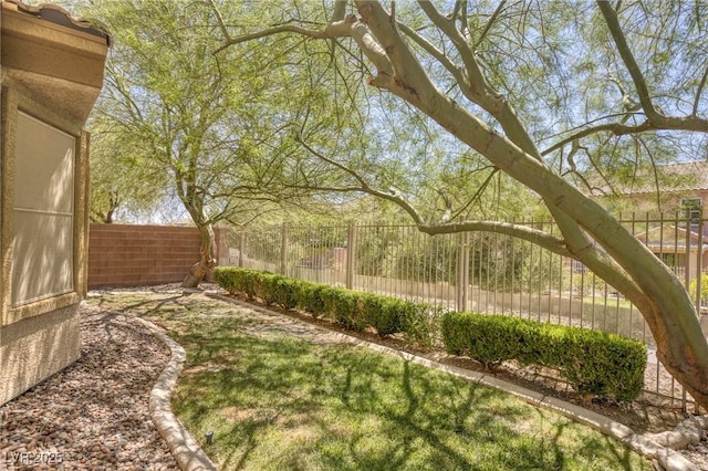 4117 Gliding Gulls Ave, North Las Vegas, NV 89084 - view of yard
