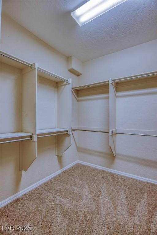 4117 Gliding Gulls Ave, North Las Vegas, NV 89084 - walk in closet with carpet flooring