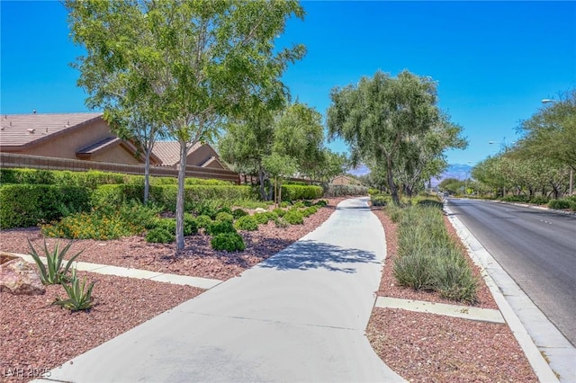 4117 Gliding Gulls Ave, North Las Vegas, NV 89084 - view of property's community