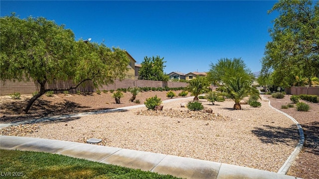 8021 Dancing Springs St, Las Vegas, NV 89143 - view of yard