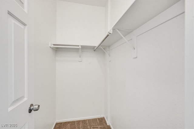 5960 Palmilla St Unit 7, North Las Vegas, NV 89031 - spacious closet featuring carpet