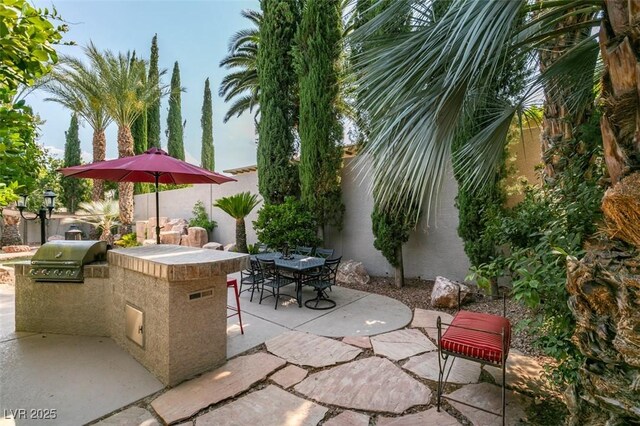 213 Satin Mist Ct, Las Vegas, NV 89144 - photo 71