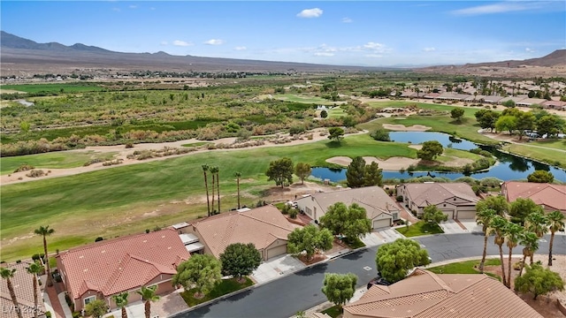 1246 Madrigal Dr, Mesquite, NV 89027 - photo 18