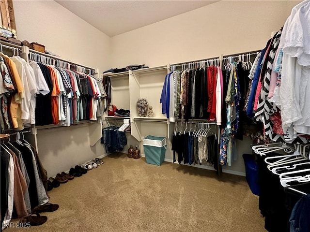 2257 Turner Falls St, Henderson, NV 89044 - walk in closet featuring carpet flooring