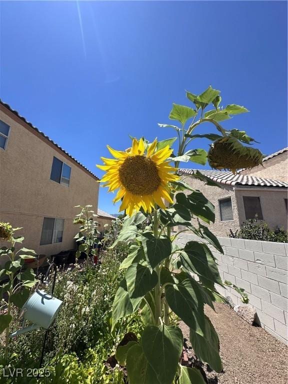 5600 Bolton Bay Way, Las Vegas, NV 89149 - photo 22