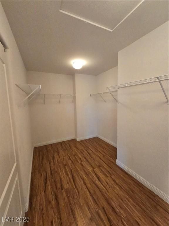 7428 Timber Run St, Las Vegas, NV 89149 - walk in closet with wood finished floors