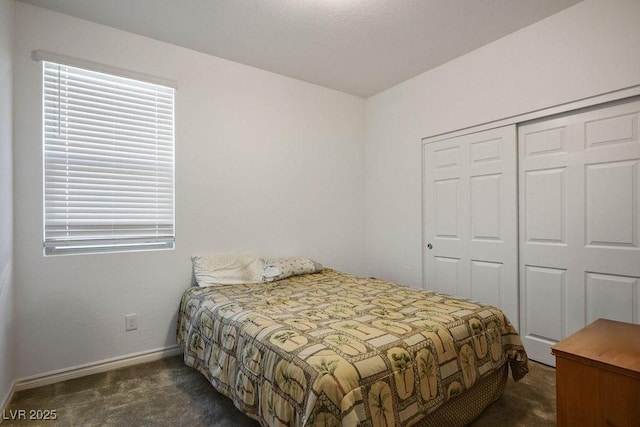 1110 Crystal Grotto Ave, North Las Vegas, NV 89081 - bedroom with carpet and a closet