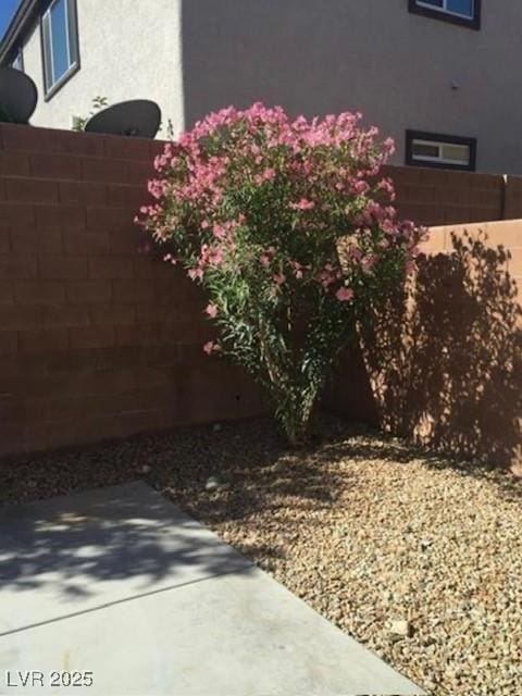10225 Headrick Dr, Las Vegas, NV 89166 - view of yard