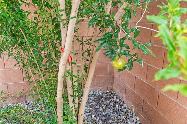 715 Taliput Palm Pl, Henderson, NV 89011 - photo 44