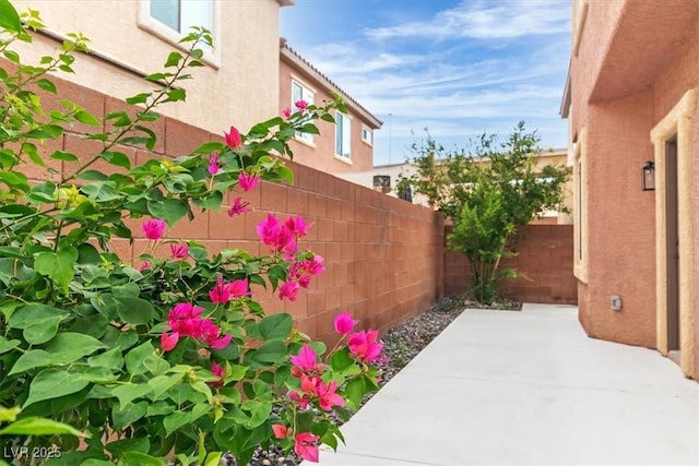 715 Taliput Palm Pl, Henderson, NV 89011 - photo 49