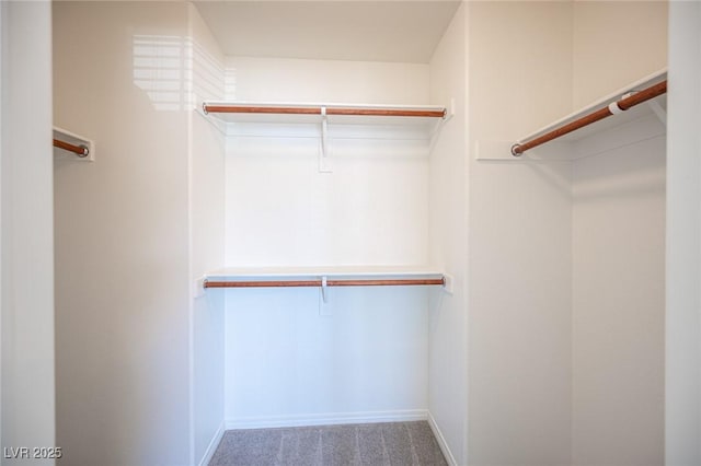7388 Agonis St, Las Vegas, NV 89113 - spacious closet featuring carpet