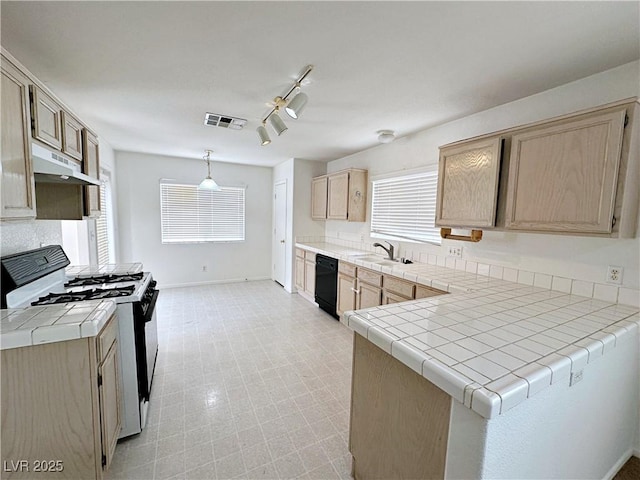 3723 Vidalia Ave, North Las Vegas, NV 89031 - photo 9