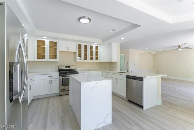 1846 Autumn Gold Ave, Las Vegas, NV 89123 - kitchen with stainless steel appliances, a tray ceiling, a peninsula, recessed lighting, and light wood-style floors