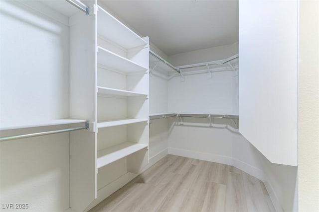 1846 Autumn Gold Ave, Las Vegas, NV 89123 - spacious closet with light wood-type flooring
