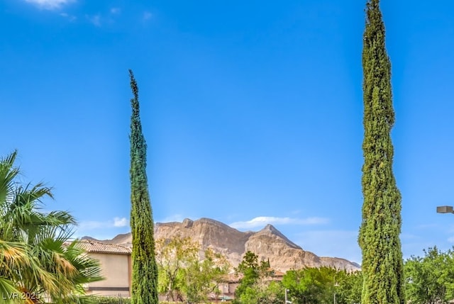 636 Chervil Valley Dr, Las Vegas, NV 89138 - photo 46