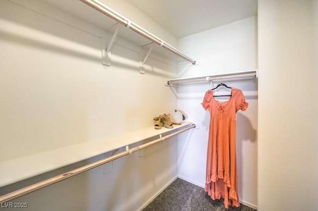 10988 Rollingford Ave Lot 10, Las Vegas, NV 89166 - walk in closet with dark carpet
