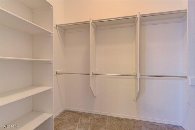 225 Palmetto Pointe Dr, Henderson, NV 89012 - walk in closet with carpet flooring