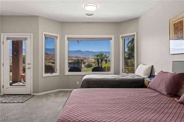 744 Pinnacle Ct, Mesquite, NV 89027 - photo 42