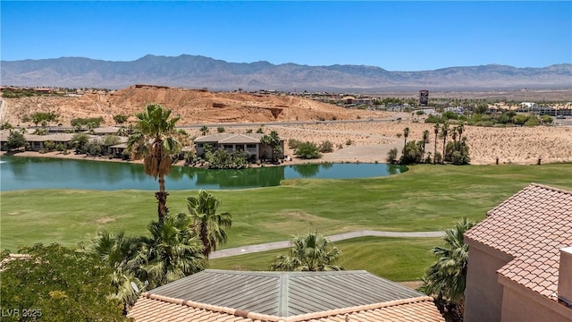 744 Pinnacle Ct, Mesquite, NV 89027 - photo 67