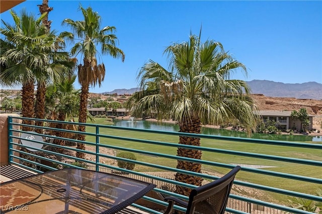 744 Pinnacle Ct, Mesquite, NV 89027 - photo 49