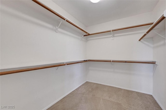 1424 Colt Dr, Henderson, NV 89002 - walk in closet with light colored carpet