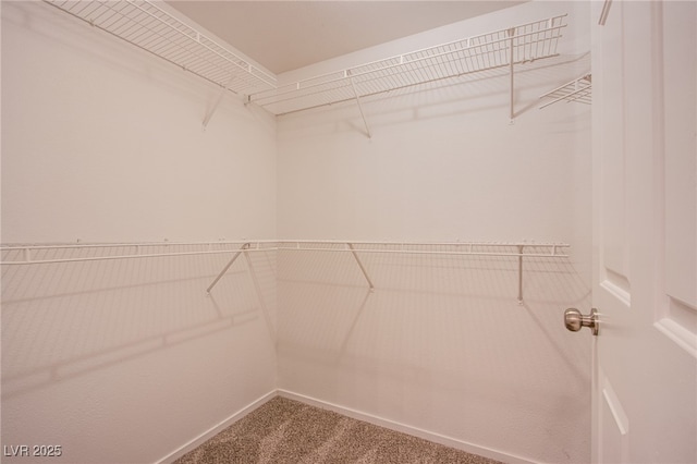 7167 Durango Dr Unit 111, Las Vegas, NV 89148 - walk in closet with carpet