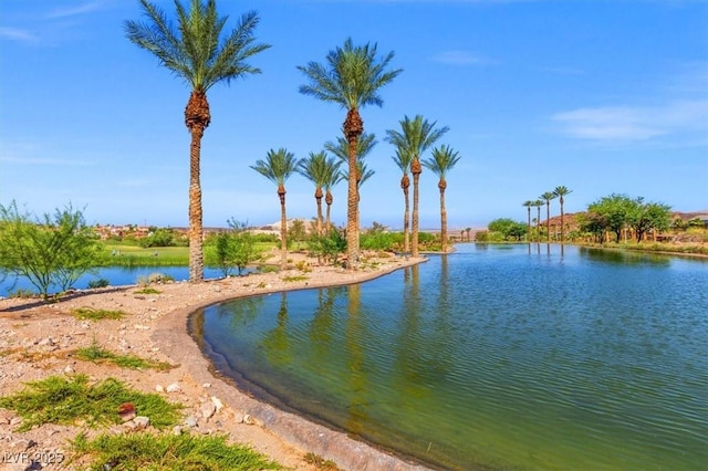 15 Via Amarone, Henderson, NV 89011 - photo 24